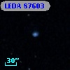 LEDA   87603