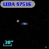 LEDA   87516