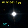 V* V1061 Cyg