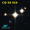 CD-34   919