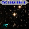 TYC 3169-918-1