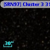 [SRN97] Cluster 3   31