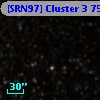 [SRN97] Cluster 3   75