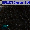[SRN97] Cluster 3   95