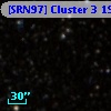 [SRN97] Cluster 3  194