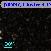 [SRN97] Cluster 3  197