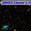 [SRN97] Cluster 3  198