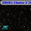 [SRN97] Cluster 3  203