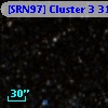 [SRN97] Cluster 3  319