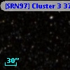 [SRN97] Cluster 3  371
