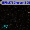 [SRN97] Cluster 3  395