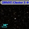 [SRN97] Cluster 3  446