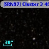 [SRN97] Cluster 3  491