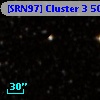 [SRN97] Cluster 3  501