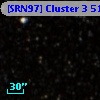 [SRN97] Cluster 3  517