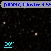 [SRN97] Cluster 3  556