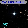 TYC 3953-348-1