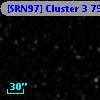 [SRN97] Cluster 3  751