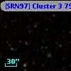 [SRN97] Cluster 3  795