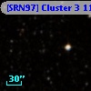 [SRN97] Cluster 3 1176