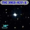 TYC 3953-827-1