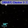 [SRN97] Cluster 3 2264