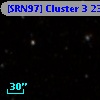 [SRN97] Cluster 3 2333