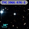 TYC 3966-876-1