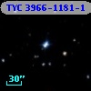 TYC 3966-1181-1