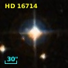 LTT  1306