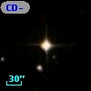 CD-34   983
