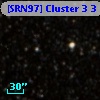 [SRN97] Cluster 3    3