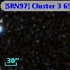 [SRN97] Cluster 3   65