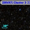 [SRN97] Cluster 3  239