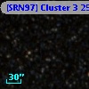 [SRN97] Cluster 3  253
