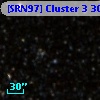 [SRN97] Cluster 3  305