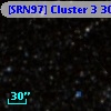 [SRN97] Cluster 3  306