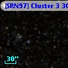 [SRN97] Cluster 3  307