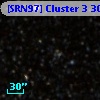 [SRN97] Cluster 3  309