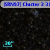 [SRN97] Cluster 3  312