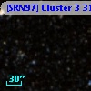 [SRN97] Cluster 3  313