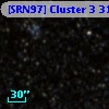 [SRN97] Cluster 3  314