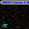 [SRN97] Cluster 3  461