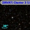 [SRN97] Cluster 3  516