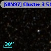 [SRN97] Cluster 3  519