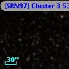 [SRN97] Cluster 3  531
