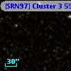 [SRN97] Cluster 3  554