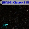 [SRN97] Cluster 3  555