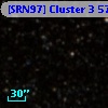 [SRN97] Cluster 3  576