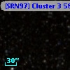 [SRN97] Cluster 3  586